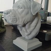 Busto Rottweiler -Stampa 3D