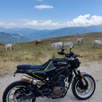 Husqvarna Svartpilen 401 (A2)