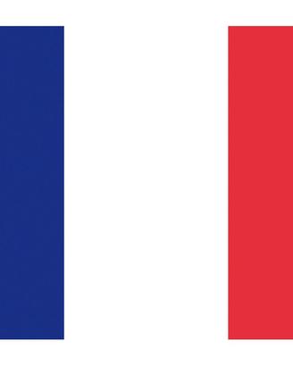 Corso di francese su misura (docente madrelingua)