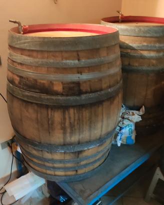 N.2 BOTTI ROVERE