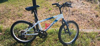 Mtb 20"