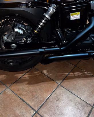 Scarichi  Harley Davidson dyna con supporto