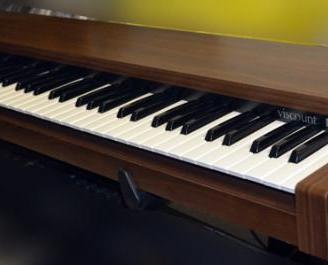 Tastiera portatile Viscount D9