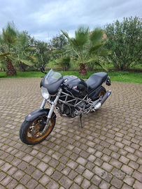 Ducati monster