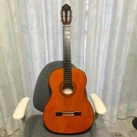 Chitarra acustica EKO