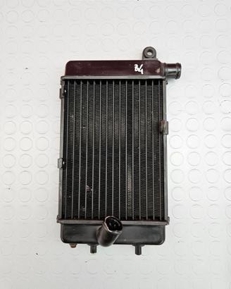 RADIATORE SINISTRO APRILIA RSV 1000 2001 2002 RSV1