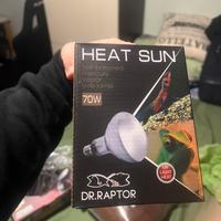 Porta lampada e lampada