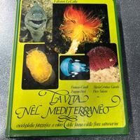 La vita nel mediterraneo