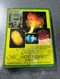 La vita nel mediterraneo
