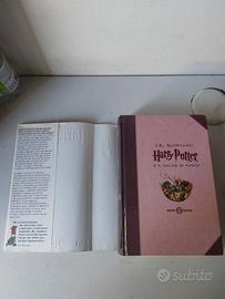 Harry Potter e il calice di fuoco