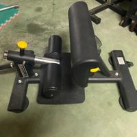 Sissy squat Toorx WBX-1800