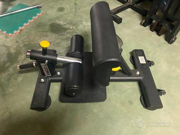 Sissy squat Toorx WBX-1800