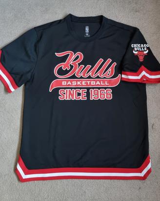 Maglia NBA Chicago Bulls Since 1966 Basketball 