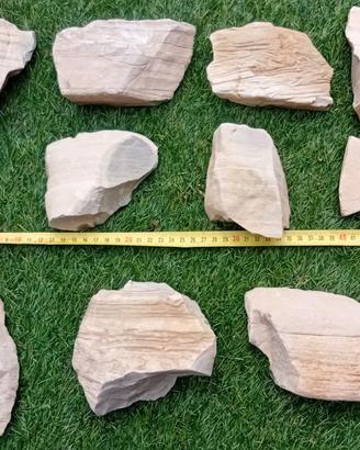 Rocce acquario beige grigio acqua dolce tropicale