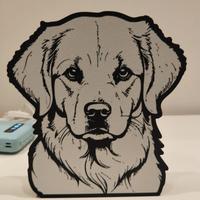 lampada  Golden retriever 