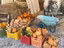 Immagine 1