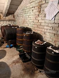 Batteria aceto balsamico tradizionale n.11 botti