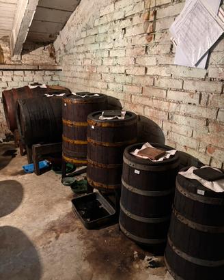 Batteria aceto balsamico tradizionale n.11 botti