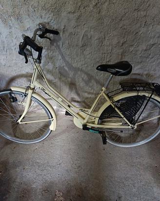 bicicletta