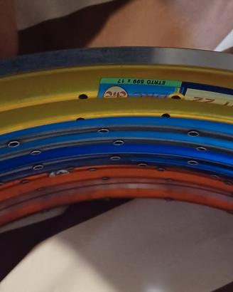 Cerchi colorati per mtb diametro 26