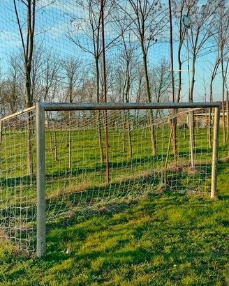 Due porte da calcio
