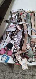 Accessori -cinture di marca-