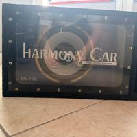 Subwoofer da 25 cm