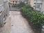 Immagine 19