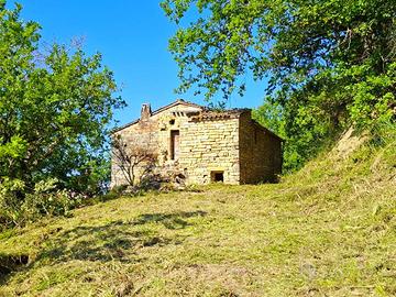 Rudere con terreno - Montelparo