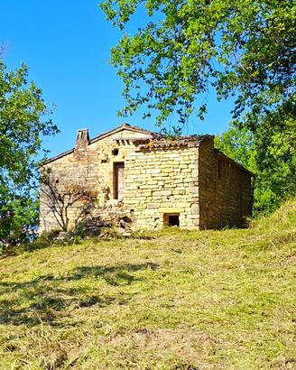 Rudere con terreno - Montelparo