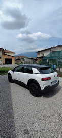 C4 cactus