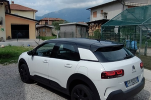 C4 cactus