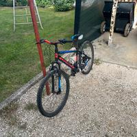 Bici da enduto