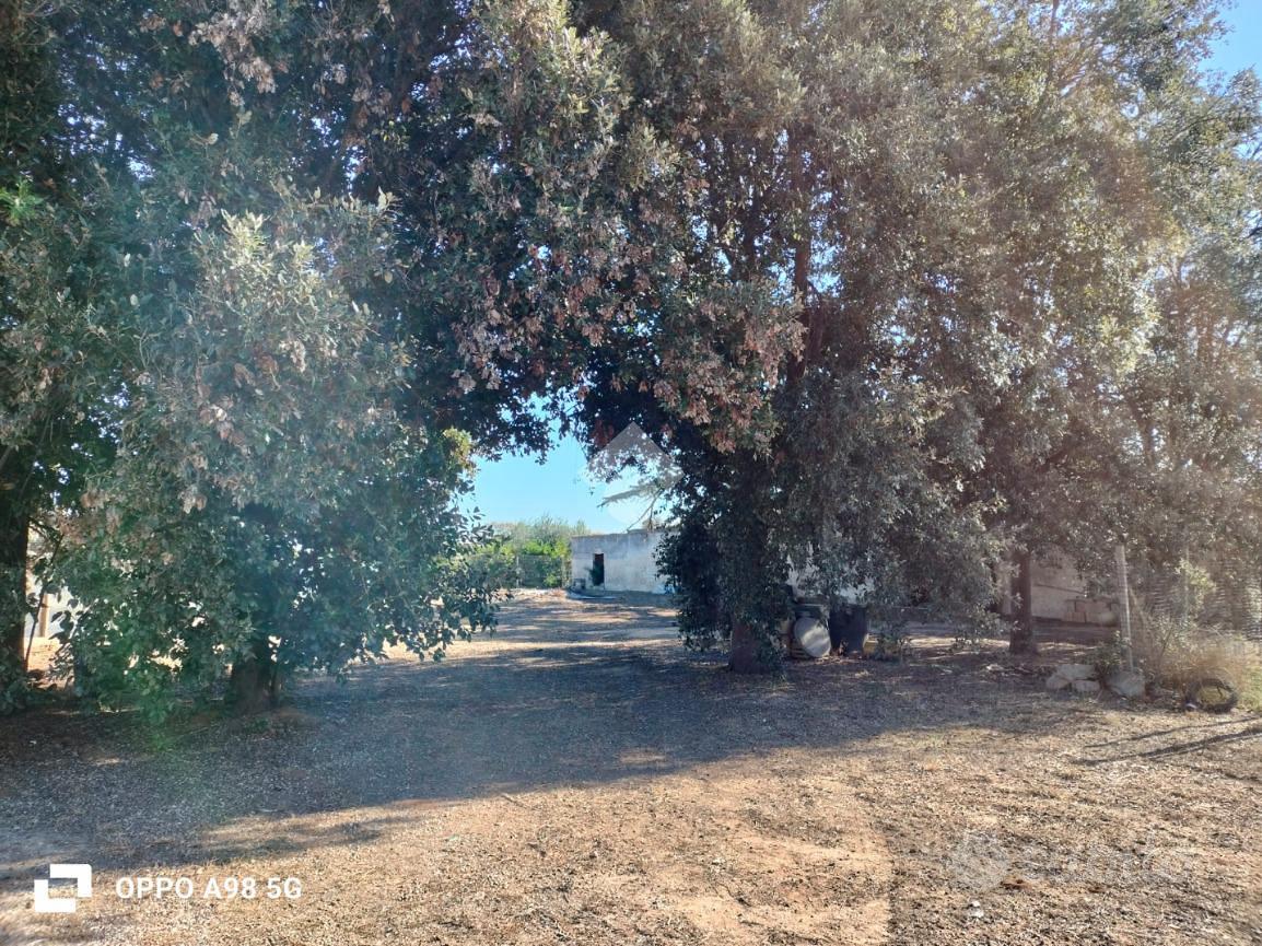 RUSTICO A CASTELLANETA - Vista 5