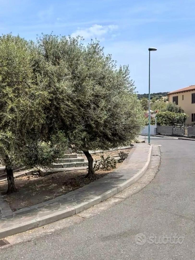 Terreno edificabile a Bauladu - Vista 2