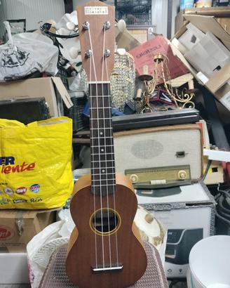 ukulele makai