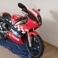 Derbi gpr 50 replica
