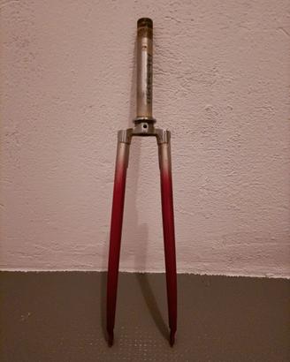 Forcella bici da cosa