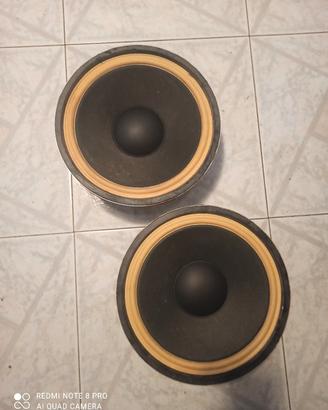 coppia woofer coral cx7