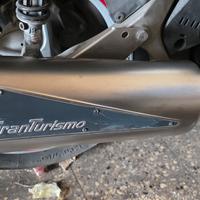 terminale Leovince gran turismo