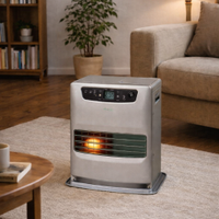 Stufa ZIBRO Laser elettronica ventilata mod. LC.32
