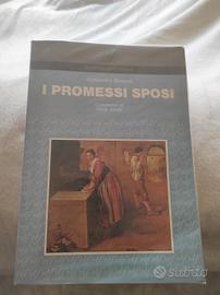 i promessi sposi 