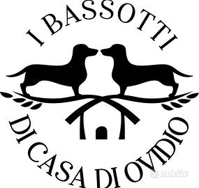 Bassotto tedesco con Pedigree Enci