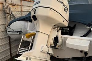 Motore fuoribordo Evinrude 225