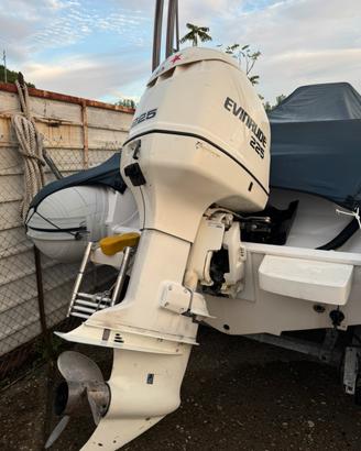 Motore fuoribordo Evinrude 225