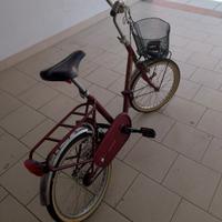 bicicletta pieghevole.