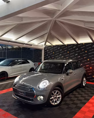 Mini 1.5 One D