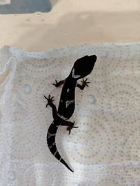 Geco Leopardino Baby