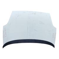 COFANO ANTERIORE FIAT Punto EVO (09>12)