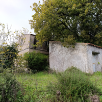 A 2km da Tempio: Rustico con 6000mq di terreno